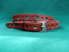 Ještěrka na žlutém opasku