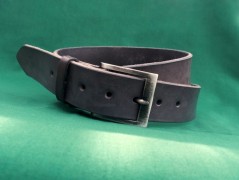 Ještěrka na žlutém opasku