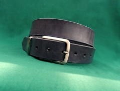 Ještěrka na žlutém opasku