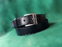 Ještěrka na žlutém opasku