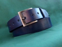 Ještěrka na žlutém opasku