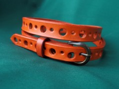 Ještěrka na žlutém opasku