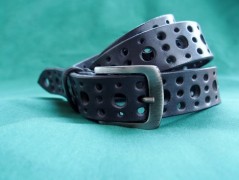 Ještěrka na žlutém opasku