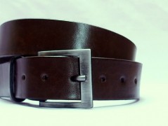 Ještěrka na žlutém opasku