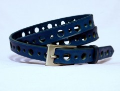 Ještěrka na žlutém opasku