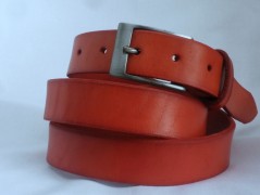 Ještěrka na žlutém opasku