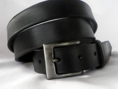 Ještěrka na žlutém opasku