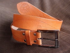 Ještěrka na žlutém opasku