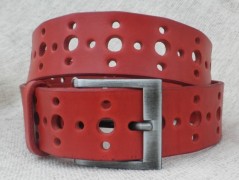 Ještěrka na žlutém opasku