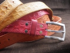 Ještěrka na žlutém opasku