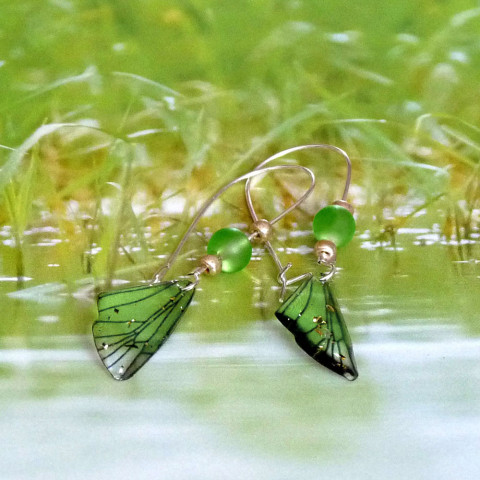 Náušnice - křídla zelená (malá) originální víla zelená náušnice motýl dívčí motýlek pryskyřice veselá originál motýlci fantasy vodní motýli křídlo handmade motýlí křídla průzračná rozpustilá vílí křídla 