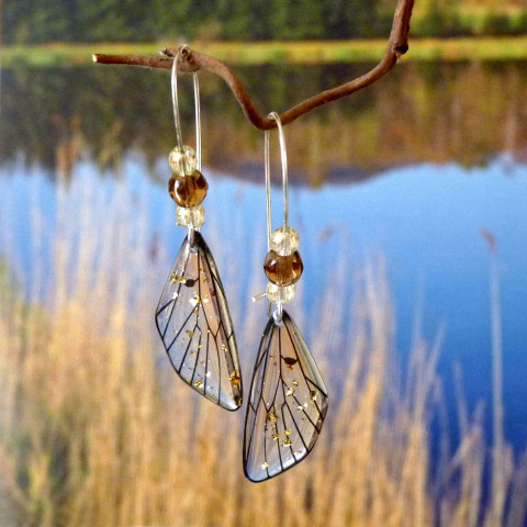 Náušnice - křídla hnědá (malá) originální víla náušnice motýl dívčí hnědá motýlek pryskyřice veselá originál motýlci fantasy vodní motýli křídlo handmade motýlí křídla rozpustilá vílí křídla 