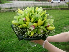 Jednoduchý vánoční