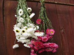 Jednoduchý vánoční