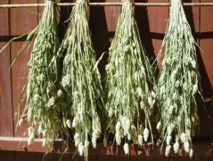 Jednoduchý vánoční