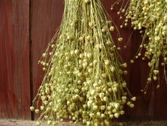 Jednoduchý vánoční