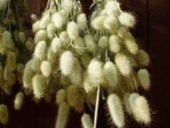 Jednoduchý vánoční