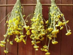 Jednoduchý vánoční