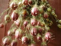 Jednoduchý vánoční