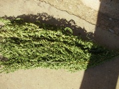 Jednoduchý vánoční