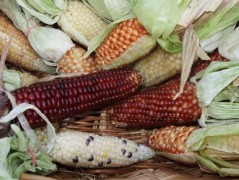 Jednoduchý vánoční