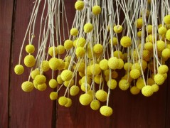 Jednoduchý vánoční