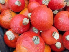 Jednoduchý vánoční