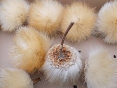 Jednoduchý vánoční