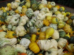 Jednoduchý vánoční