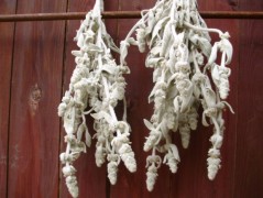 Jednoduchý vánoční