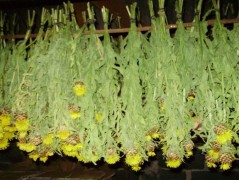 Jednoduchý vánoční