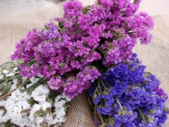 Jednoduchý vánoční