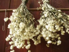 Jednoduchý vánoční