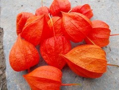 Jednoduchý vánoční