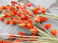 Jednoduchý vánoční