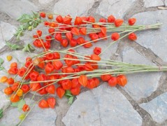 Jednoduchý vánoční