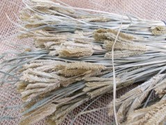 Jednoduchý vánoční