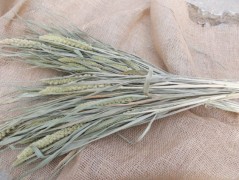 Jednoduchý vánoční