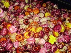 Jednoduchý vánoční