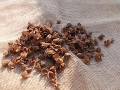 Jednoduchý vánoční