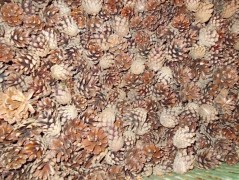 Jednoduchý vánoční