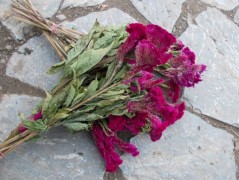 Jednoduchý vánoční