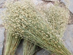 Jednoduchý vánoční