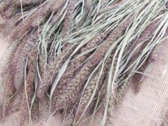 Jednoduchý vánoční