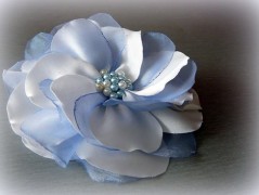 Nebesky modra rouška riflová.