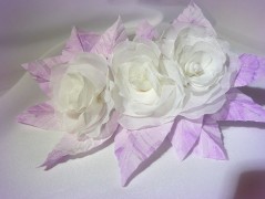 Nebesky modra rouška riflová.