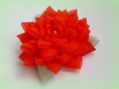 Nebesky modra rouška riflová.