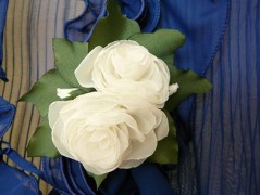 Nebesky modra rouška riflová.