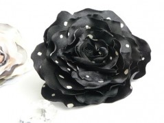 Nebesky modra rouška riflová.