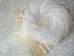 Nebesky modra rouška riflová.